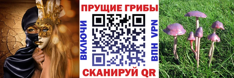 купить  сайты  Искитим  Псилоцибиновые грибы прущие грибы 