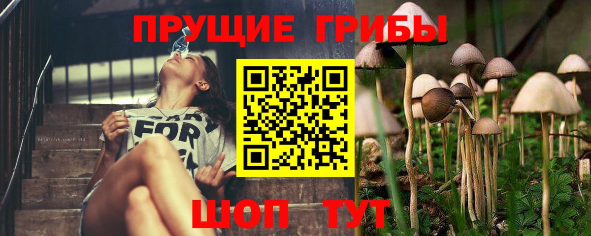 Галлюциногенные грибы MAGIC MUSHROOMS  Вход с VPN  Искитим 